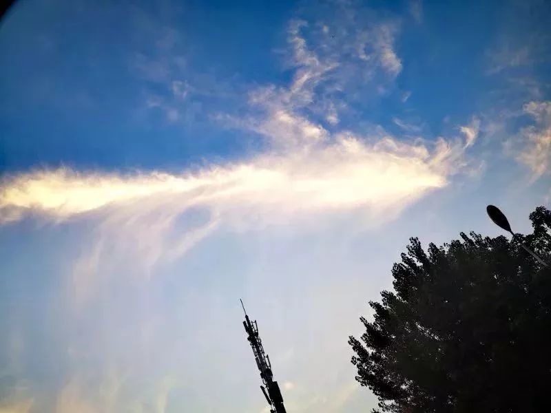 平顶山行政服务中心招聘30人 具体要求公布