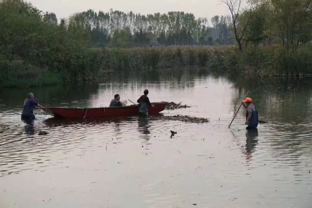 平顶山行政服务中心招聘30人 具体要求公布
