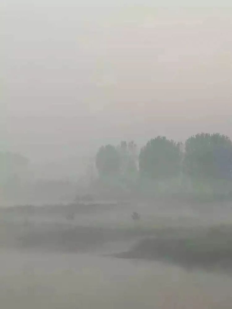 平顶山行政服务中心招聘30人 具体要求公布