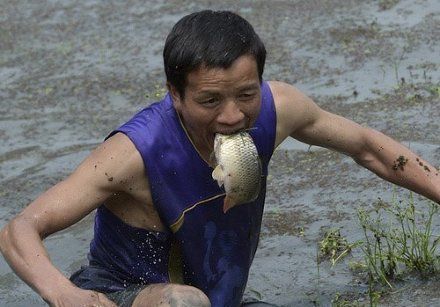 打开腾讯新                    ; 大哥你这多久没吃过鱼了,这可是生