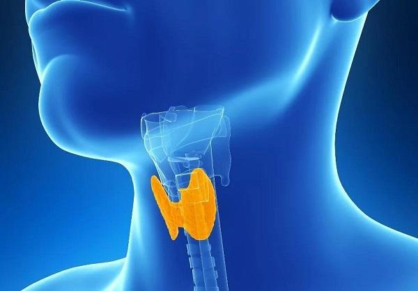 体检发现甲状腺弥漫性病变莫惊慌
