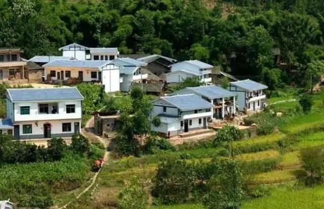 通知!今年起,这4类村庄将列入乡村振兴规划范