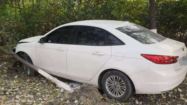 今天上午10:00左右,东丽区外环东路辅路小树林里,一辆白色轿车失控冲