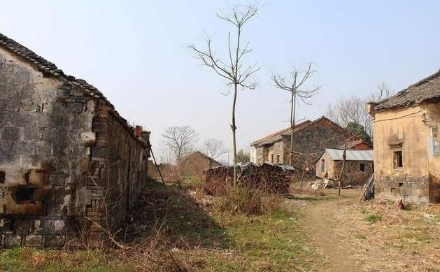通知!今年起,这4类村庄将列入乡村振兴规划范