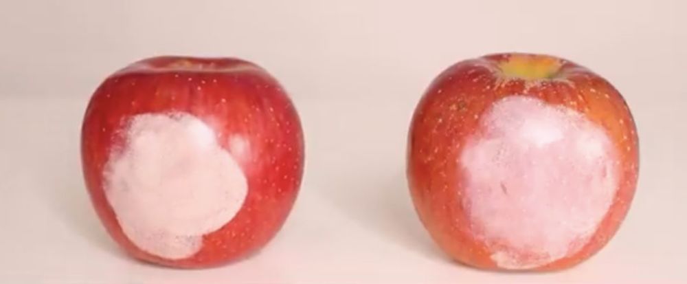 欧阳娜娜半年赚1700万,化妆品却用不到200块