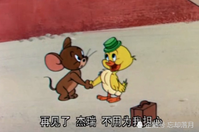 猫和老鼠