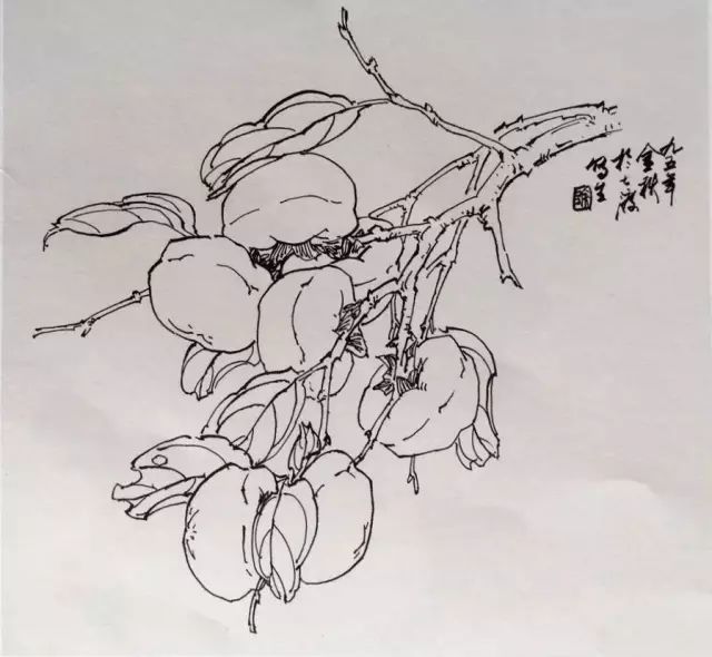 画法|徐湛花鸟画教学：葫芦和柿子的画法，想学的收藏了