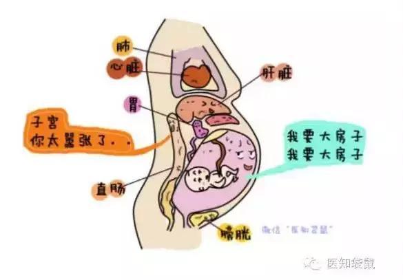 孕期这几种腹痛很危险 孕妈一定要正确辨别 早点发现还来得及 孕妈 妊娠 孕期