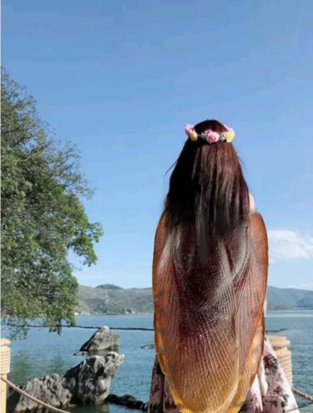 爆笑ps系列:求大神帮我p一对翅膀,我要展翅高飞