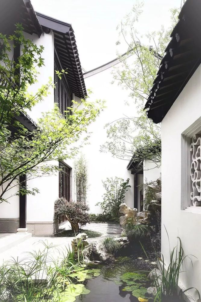 庭院|中式庭院，才是最终的人生归途！