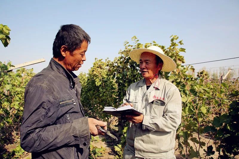 头屯河农场|头屯河农场出了位“草帽诗人”，你知道他的故事吗？