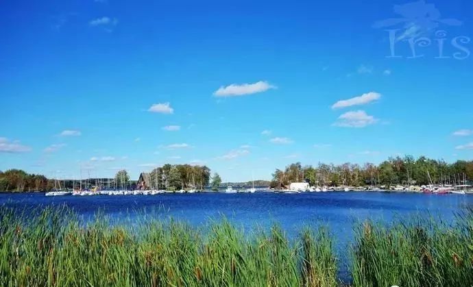 稀土|一文看遍全球各类矿产最大矿山！