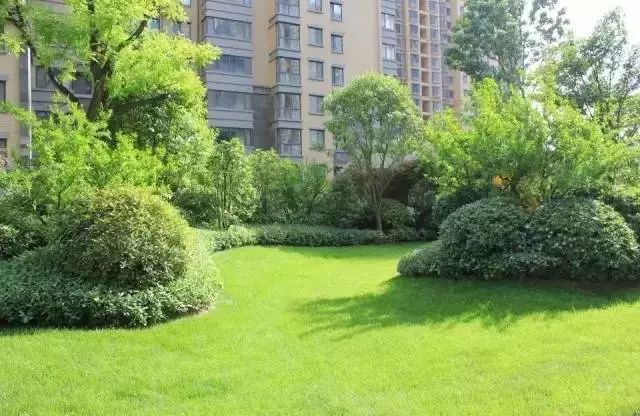 地被线放线手法实景  (一)按一定比例栽植地被植物可组成稳定性好