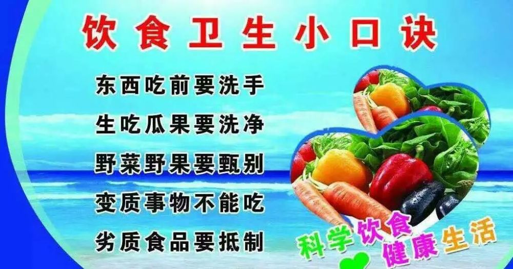 大连庄河市平安志愿者协会食品安全主题宣传