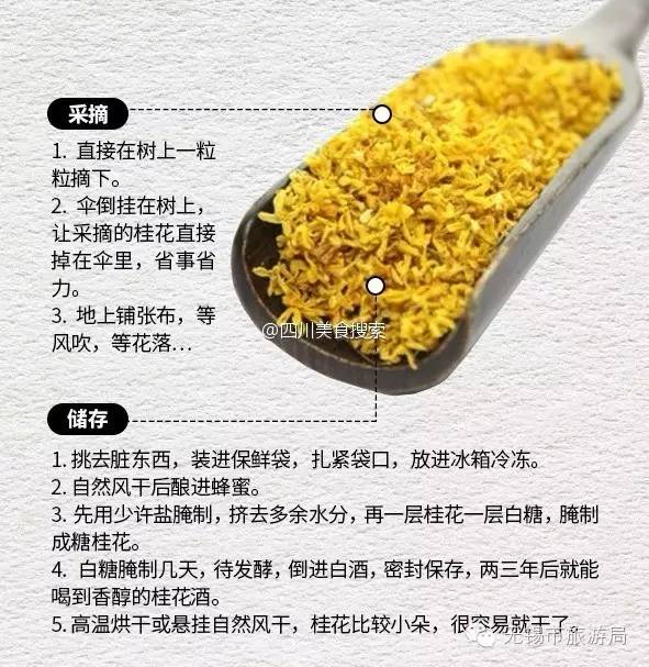 秋天的味道桂花时节吃桂花