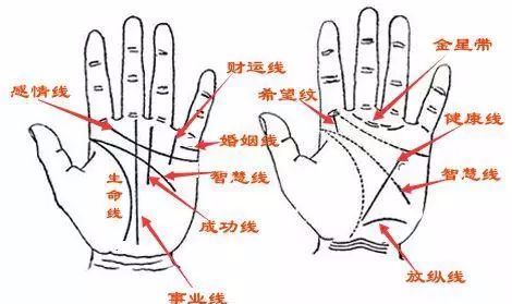 手相图解 如何从手相纹路看事业财运 腾讯新闻