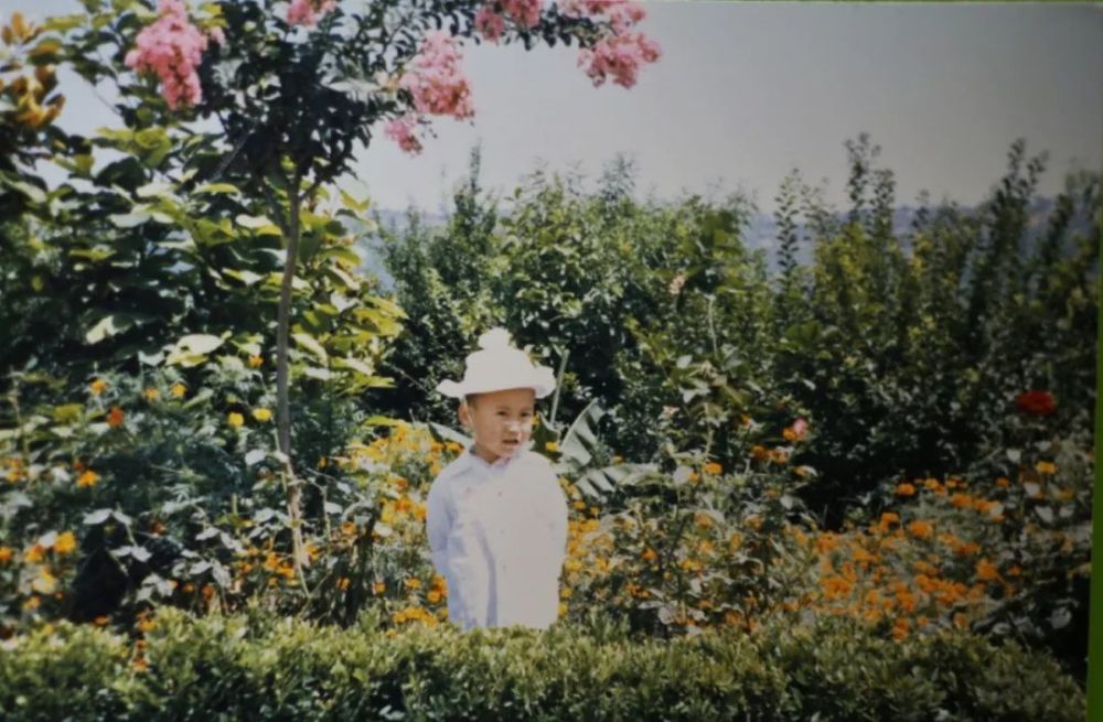 她把吴彦祖放进自己的童年照里,做成GIF贼可爱