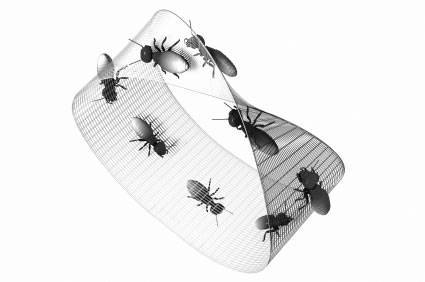 对于这只二维蚂蚁来说,它就平面里,没有两个面.