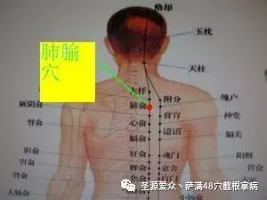 萨满48穴截根拿病神奇的穴位肺腧穴