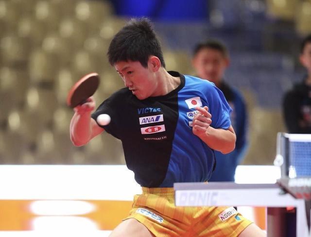 张本智和变谦虚!世界杯夺奖牌就满足,偷看国乒训练却遭热议