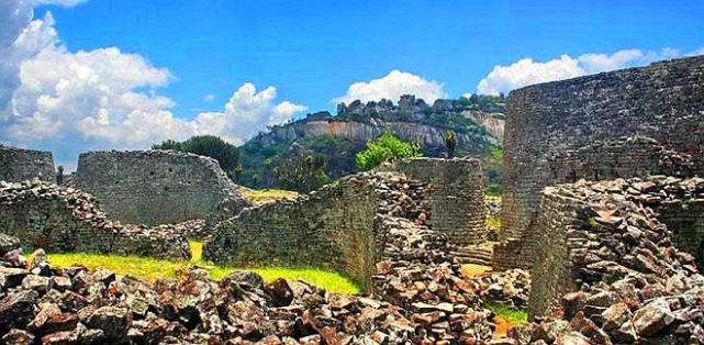 站立在石头城上谁都没见过的怪鸟却是这个国家的国鸟,怎么回事