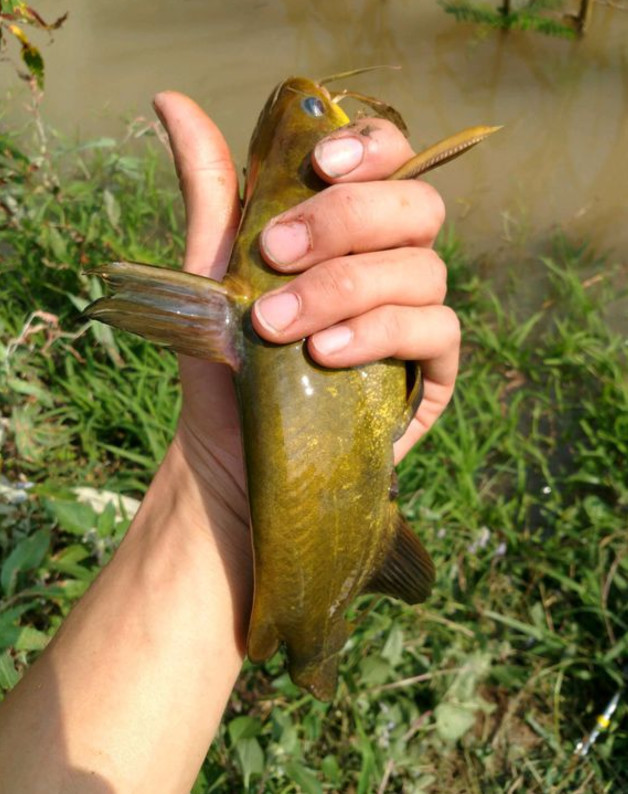 夏季的雨天最好钓鱼?遇到这5种雨天就别钓了,百分百会空军