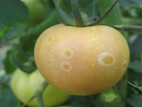 腾讯新闻