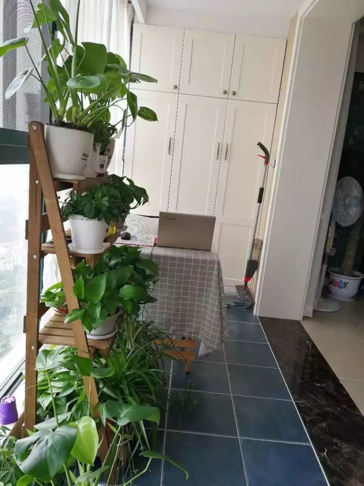 【常德老小区】阳台简单改造一下,瞬间变得好看又实用