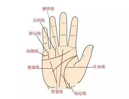 線 手相 太陽