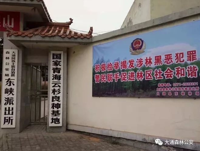 大通县森林公安局积极开展扫黑除恶专项斗争