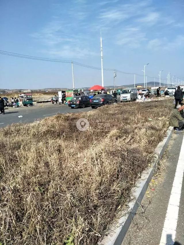 遼源南部新城大學城前道路成