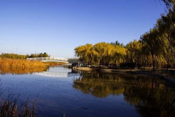 台湖万亩游憩园|亦庄新城这些打卡拍照胜地，你知道几个？