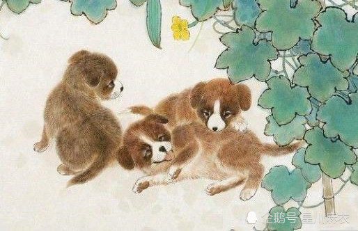 生肖狗运势和财运(生肖狗运势和财运怎么样)