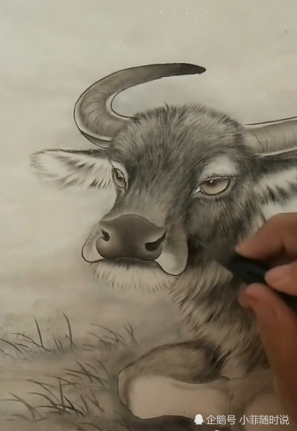男孩用铅笔画水牛,画完后眼睛非常特别,网友:这画得活灵活现啊