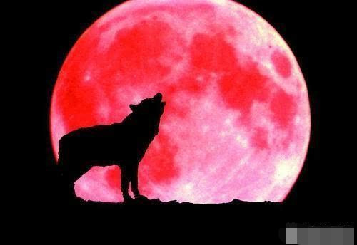 历史上出现血月时都发生了什么是巧合还是注定来看看