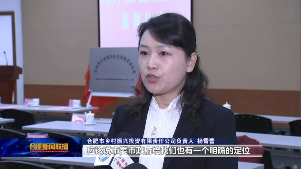 合肥市乡村振兴投资有限责任公司揭牌成立(视