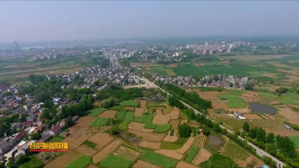 合肥市乡村振兴投资有限责任公司揭牌成立(视