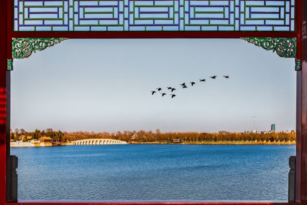 北京|一到秋天，北京就美成了北平