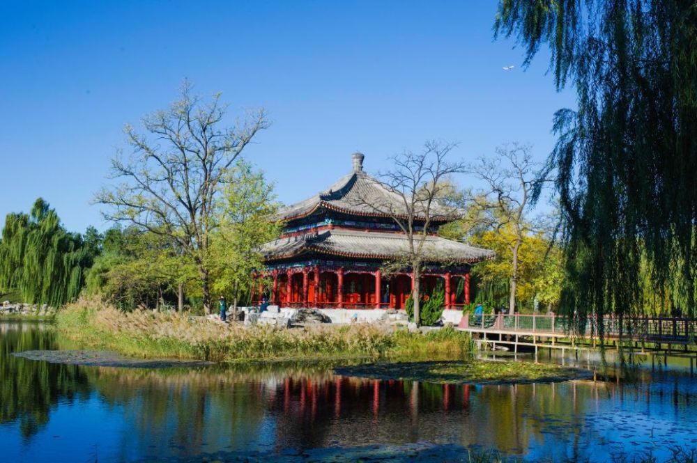 北京|一到秋天，北京就美成了北平