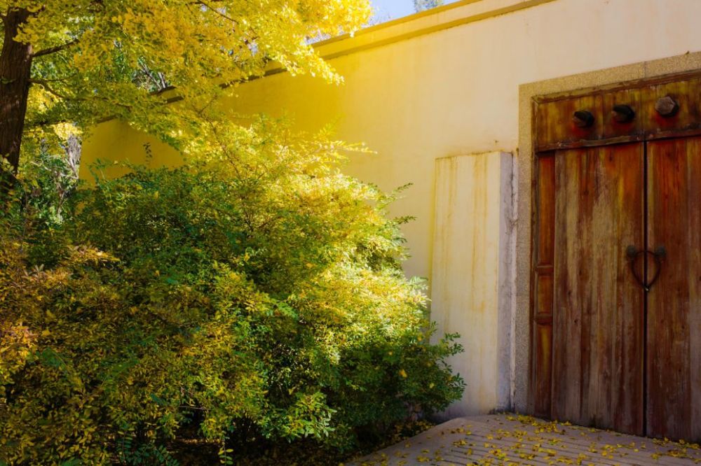 北京|一到秋天，北京就美成了北平