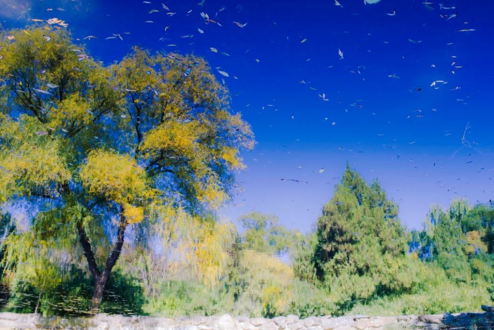 北京|一到秋天，北京就美成了北平