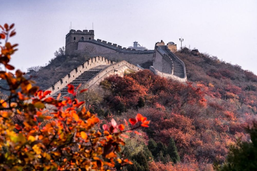 北京|一到秋天，北京就美成了北平