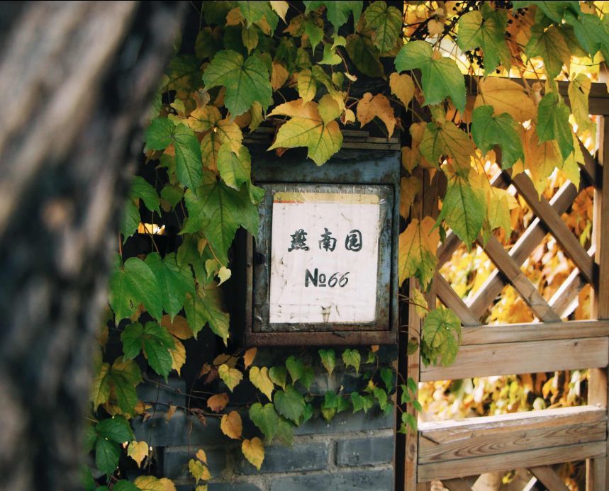 北京|一到秋天，北京就美成了北平