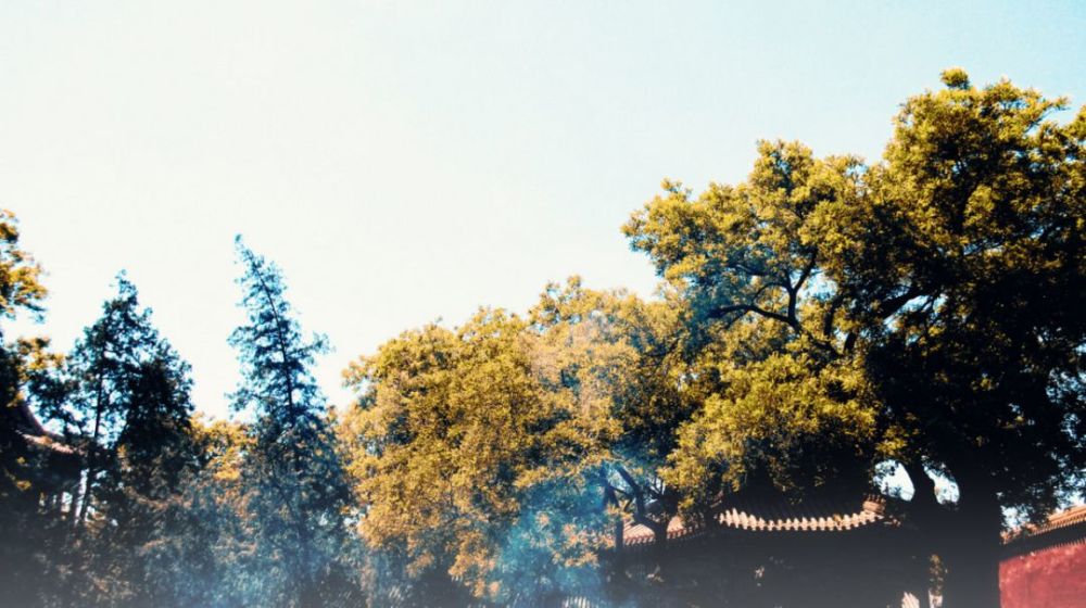 北京|一到秋天，北京就美成了北平