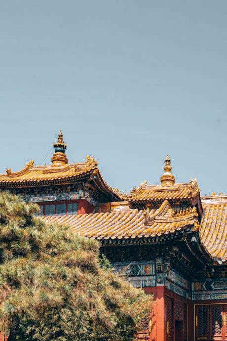 北京|一到秋天，北京就美成了北平