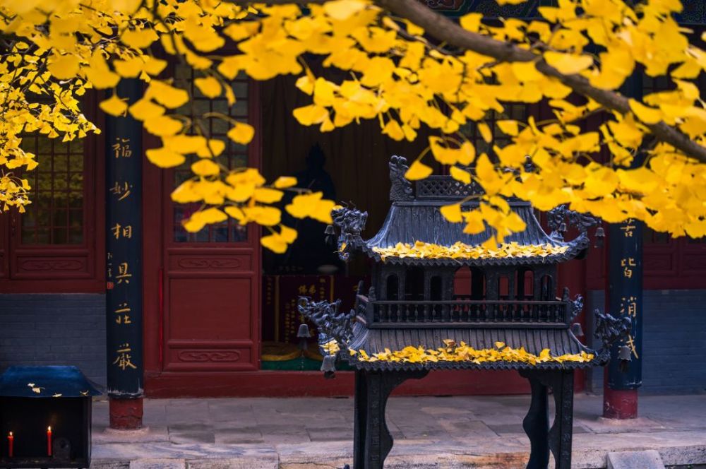 北京|一到秋天，北京就美成了北平