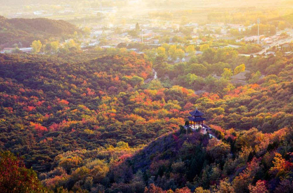 北京|一到秋天，北京就美成了北平