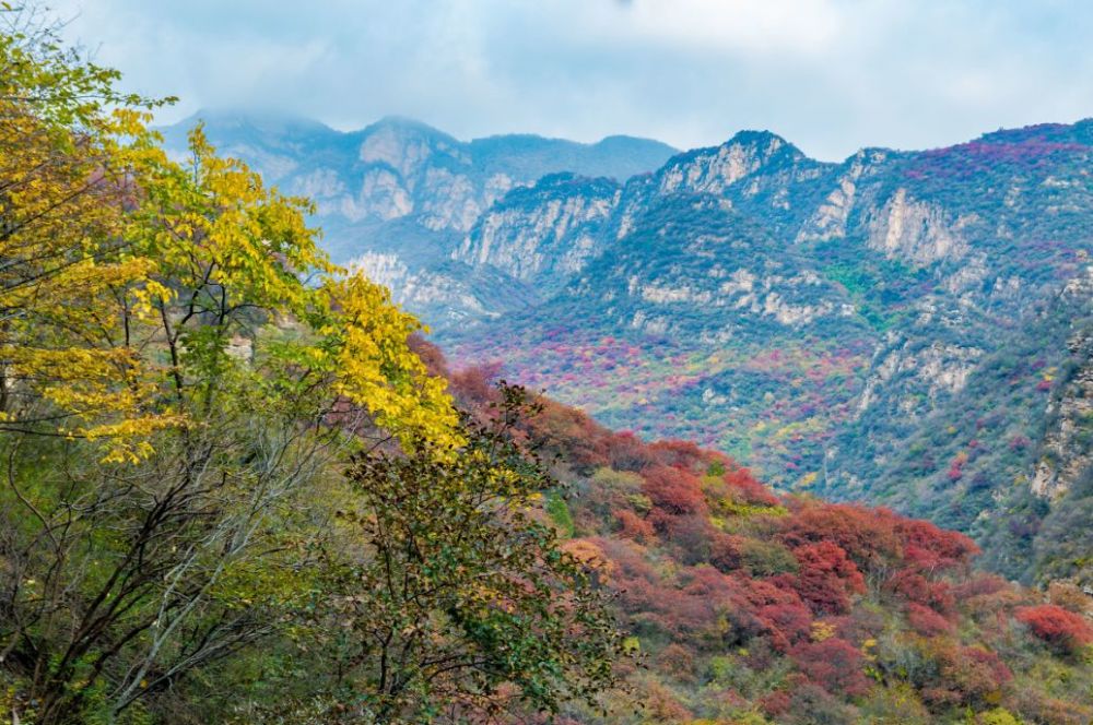 北京|一到秋天，北京就美成了北平