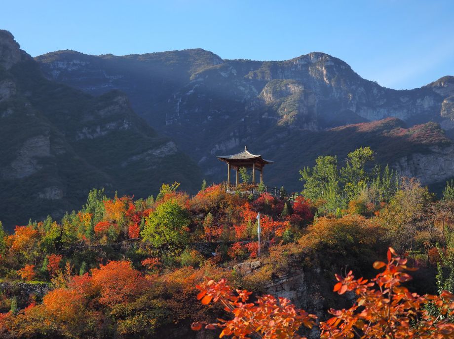 北京|一到秋天，北京就美成了北平