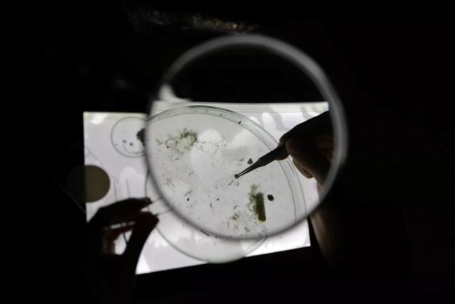 科学家观察海水中的微塑料